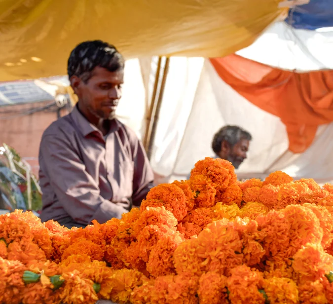 Marigold-marked i Delhi – et siste minne fra mange reiser til India.